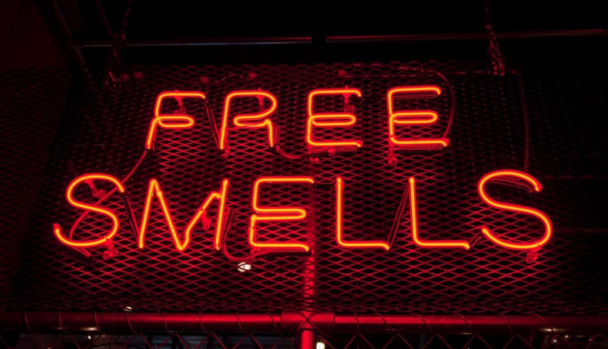 Wenn der Penis stinkt - Ursachen und Behandlung